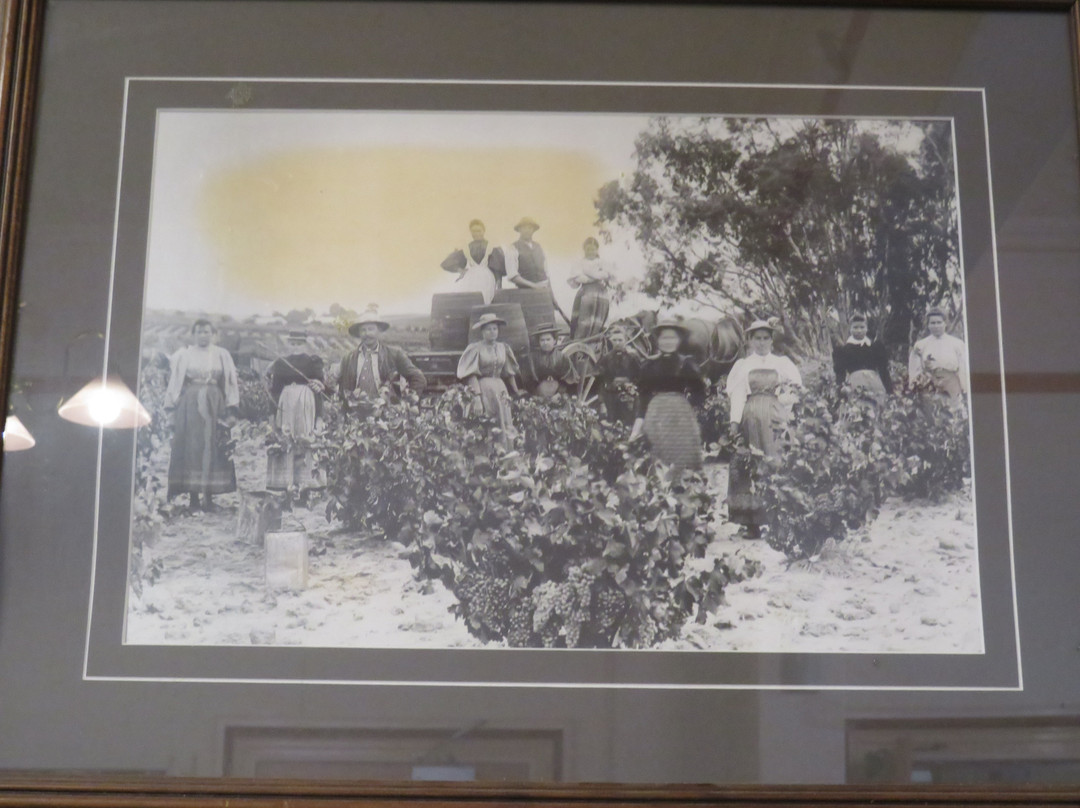 The Tanunda Hotel主图