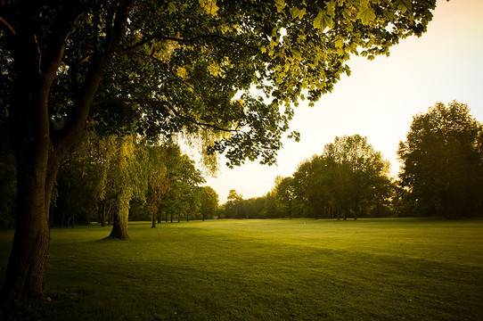 Craigowan Golf Club-Woodstock必去景点