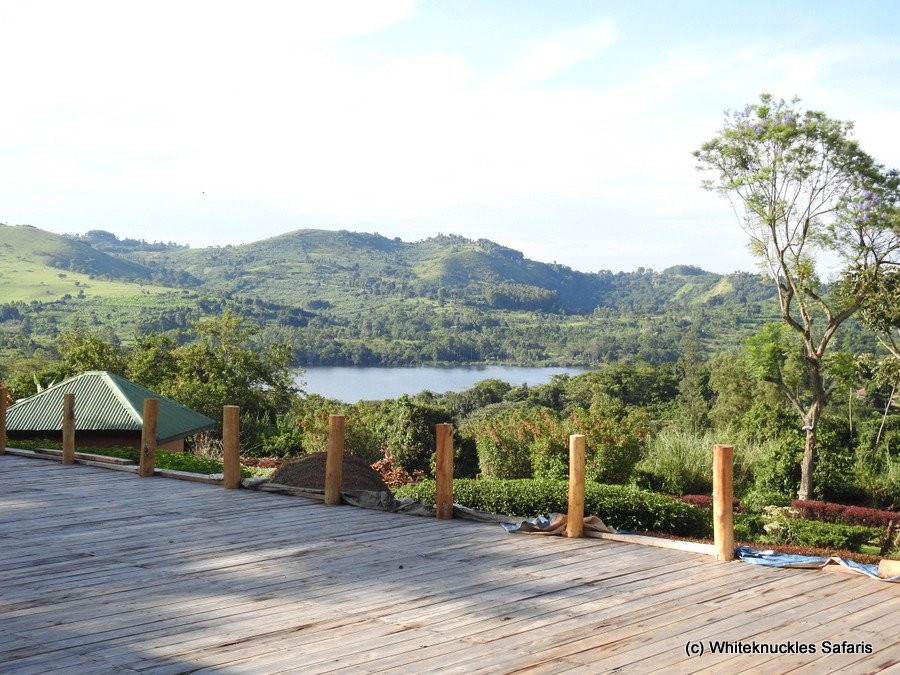 Chimpanzee Forest Lodge.主图