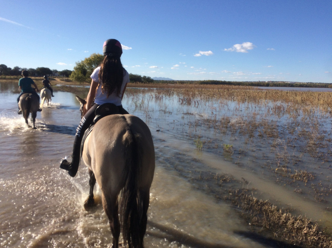 Granja Las Animas-圣米格尔护城必去景点