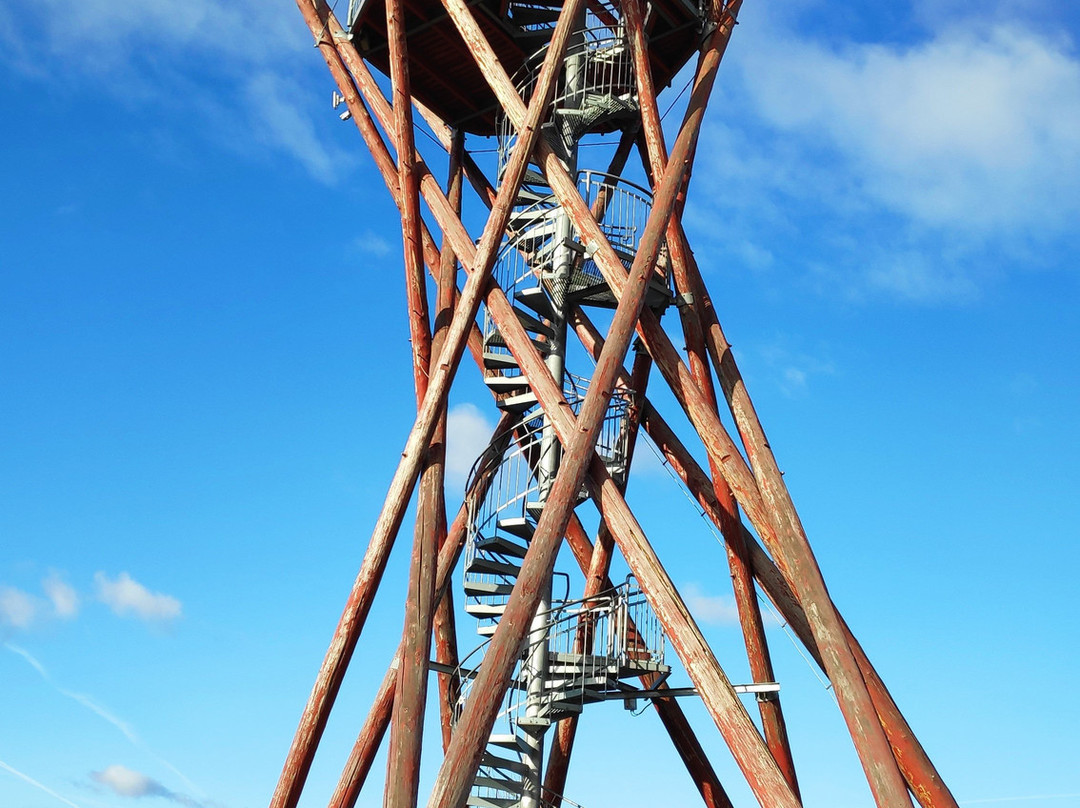 Lookout Mountain Cow-Boretice必去景点