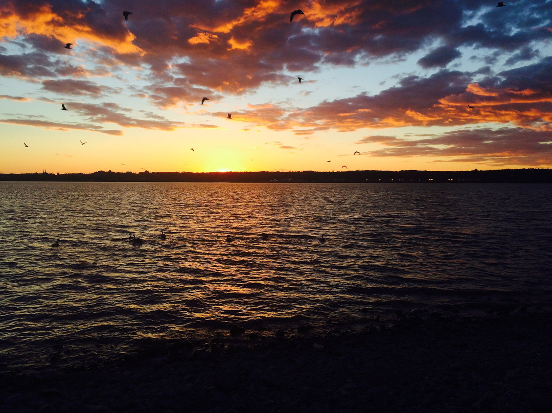 Shadowlawn Bed & Breakfast主图