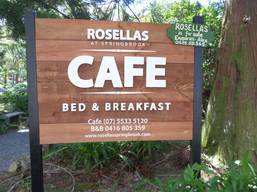 Rosellas On Springbrook主图