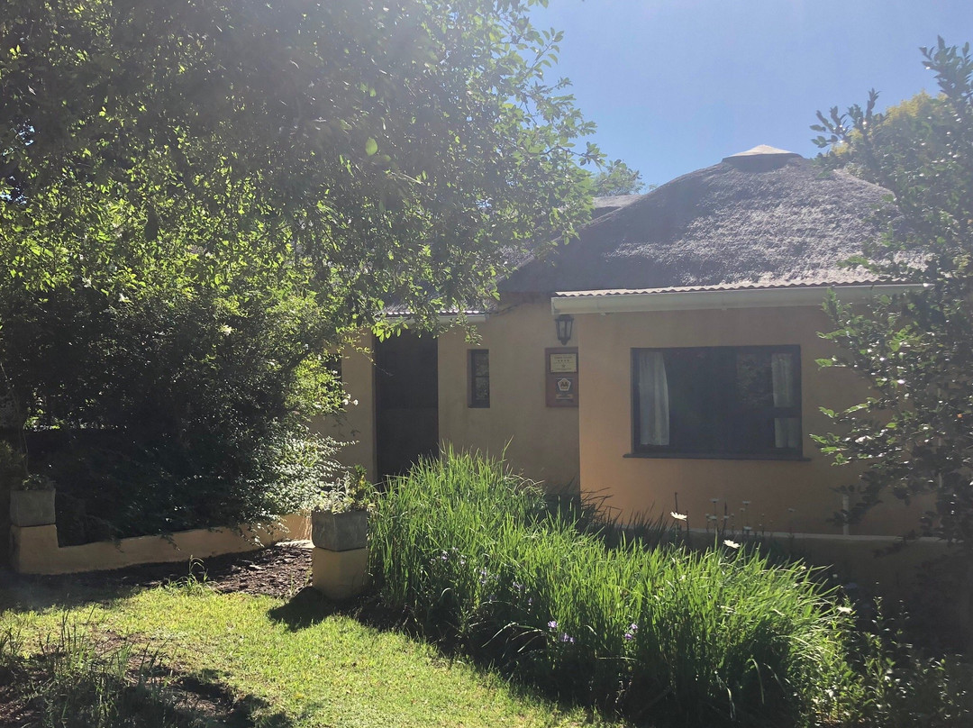 Granny Mouse House主图