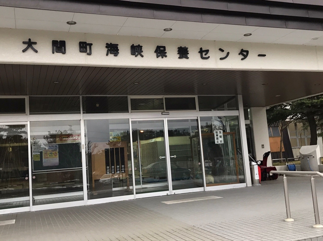 Oma Onsen Kaikyo Hoyo Center景点图片