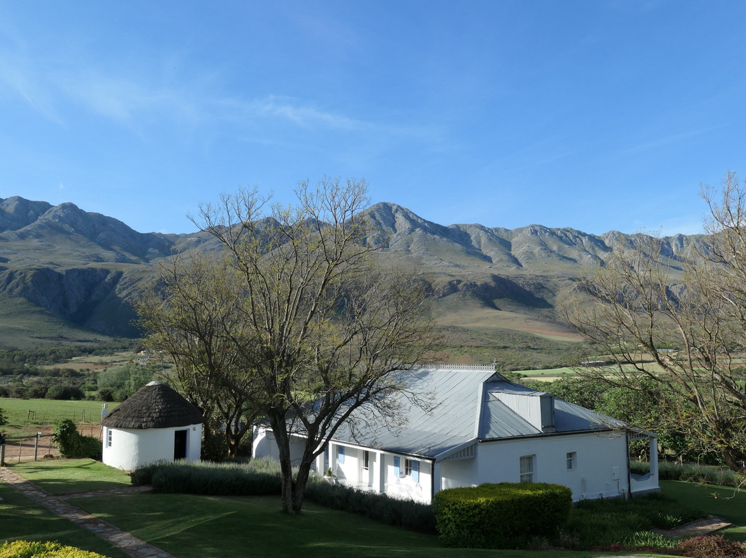 Swartberg Country Manor主图