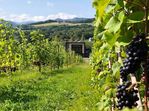 ル・レーヴ・ワイナリー