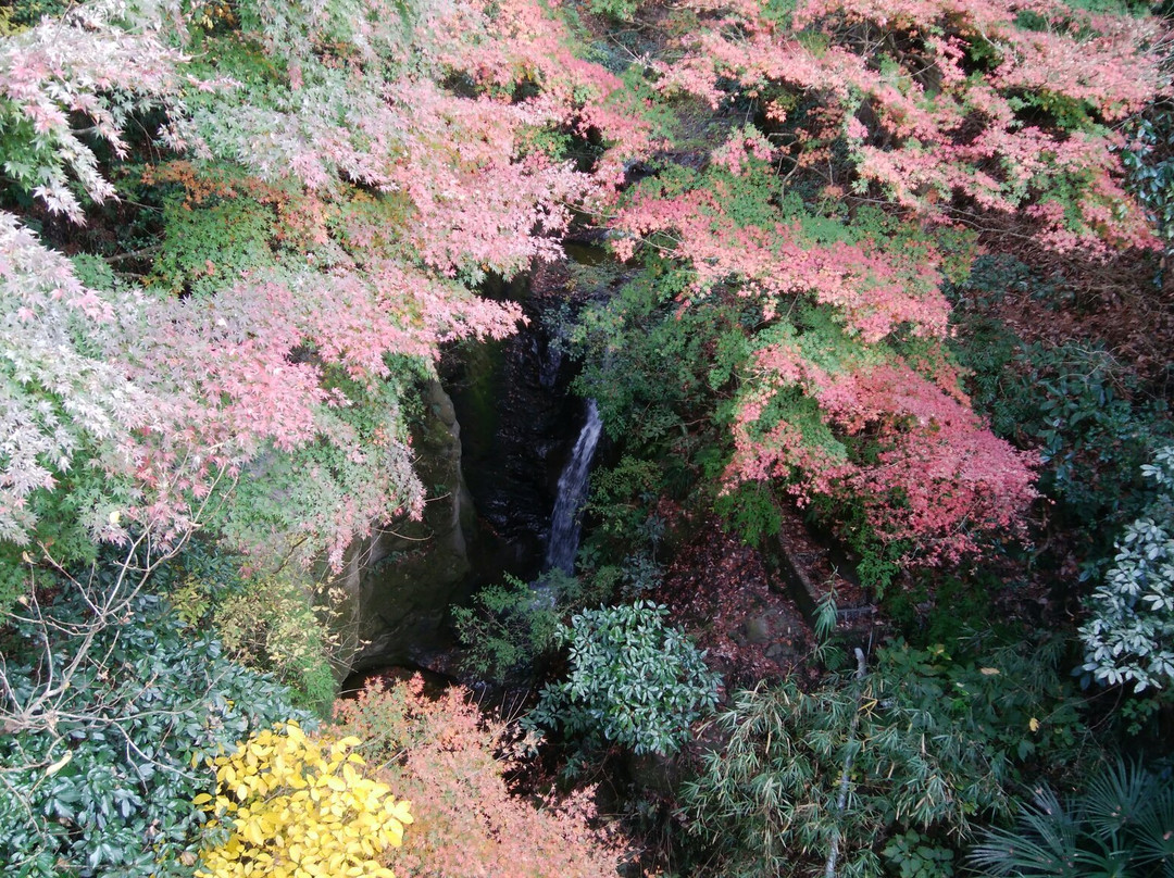 Jizodo Temple Waterfall景点图片