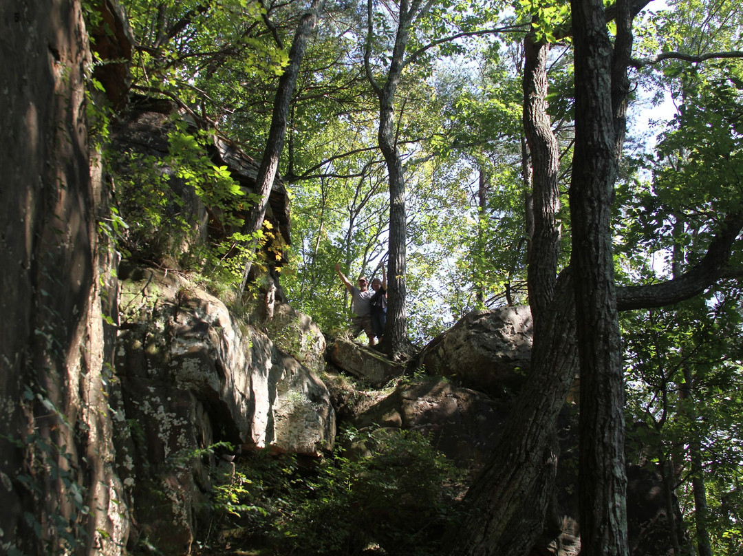 Swinging Bridge景点图片
