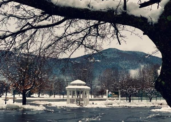 The Lodge At Jackson Village主图