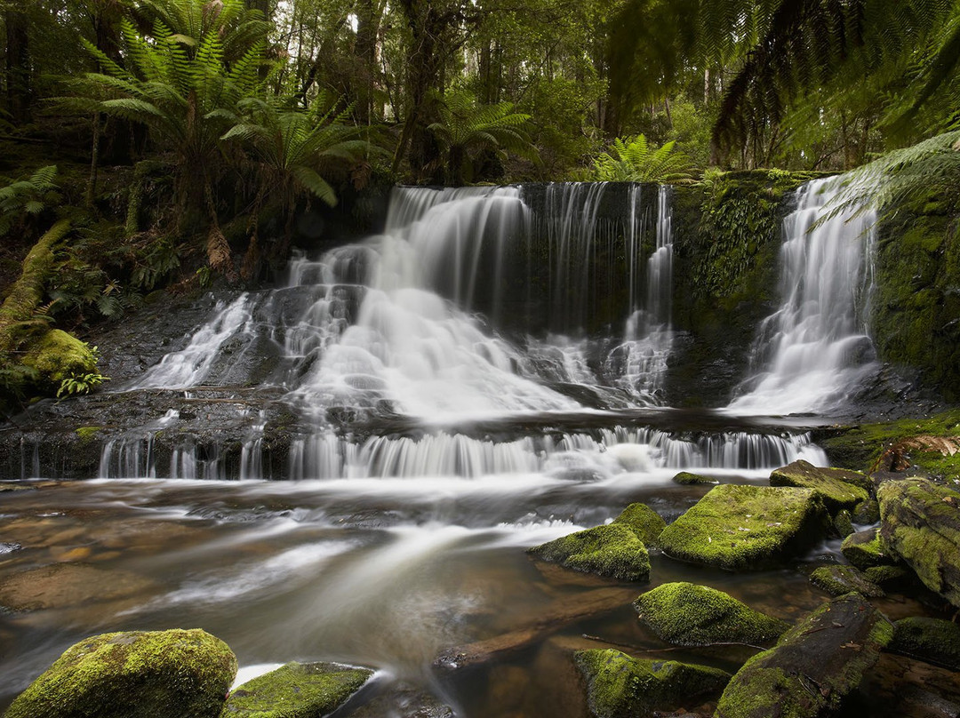 Great Aussie Photo Tours景点图片