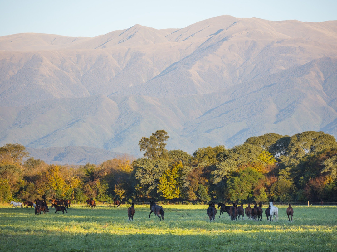 Estancia Zarate主图