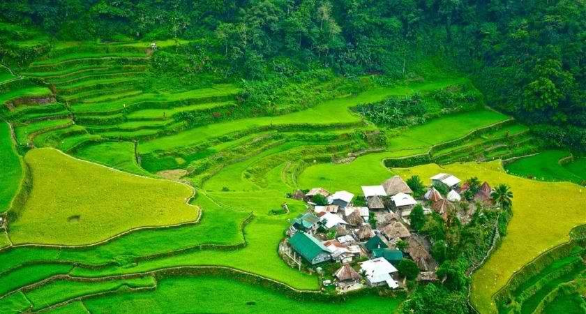 BanaueTours Specialist景点图片