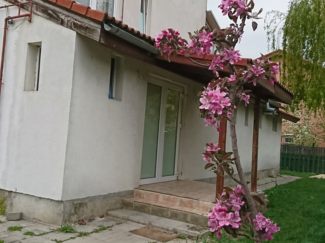 Maison Des Margus