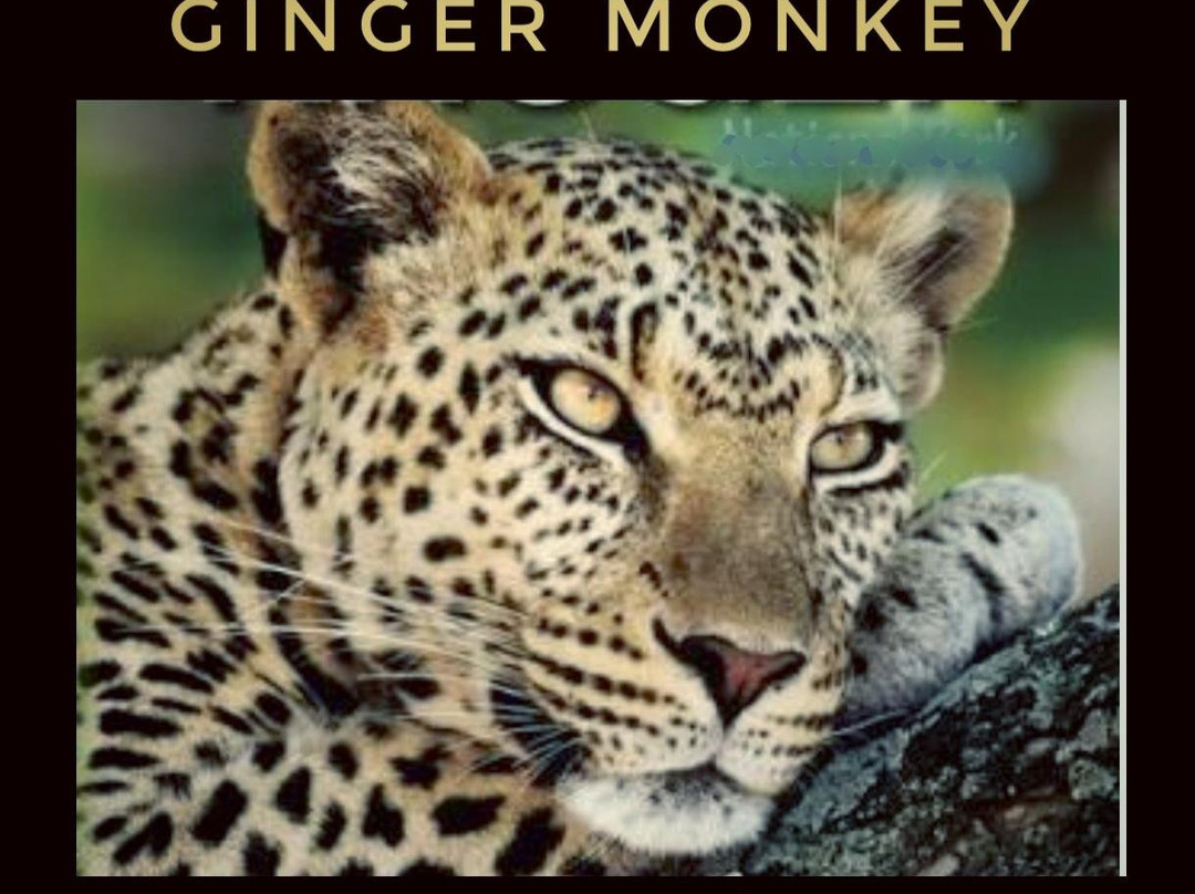 Delmas旅游攻略图片