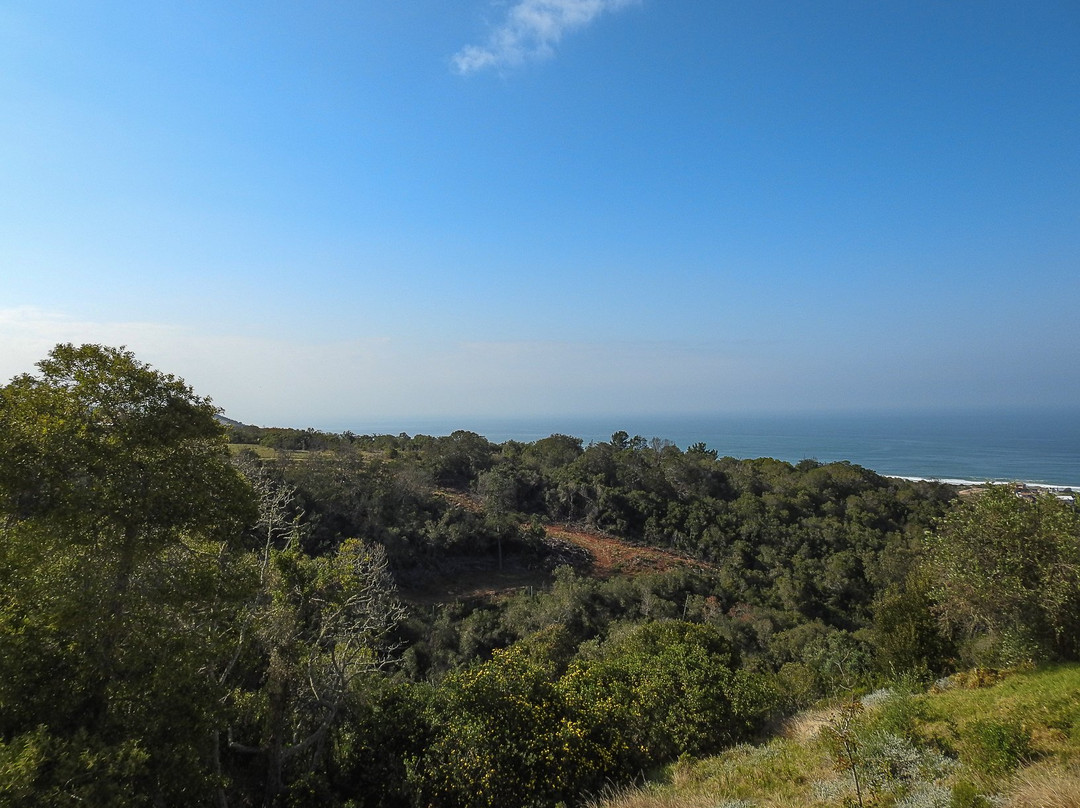 Mosselbos Self Catering主图