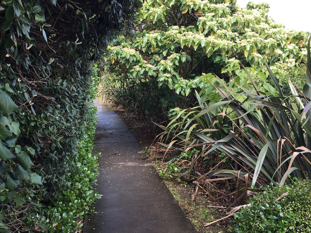 Orakei Basin - not Orakei Korako!景点图片