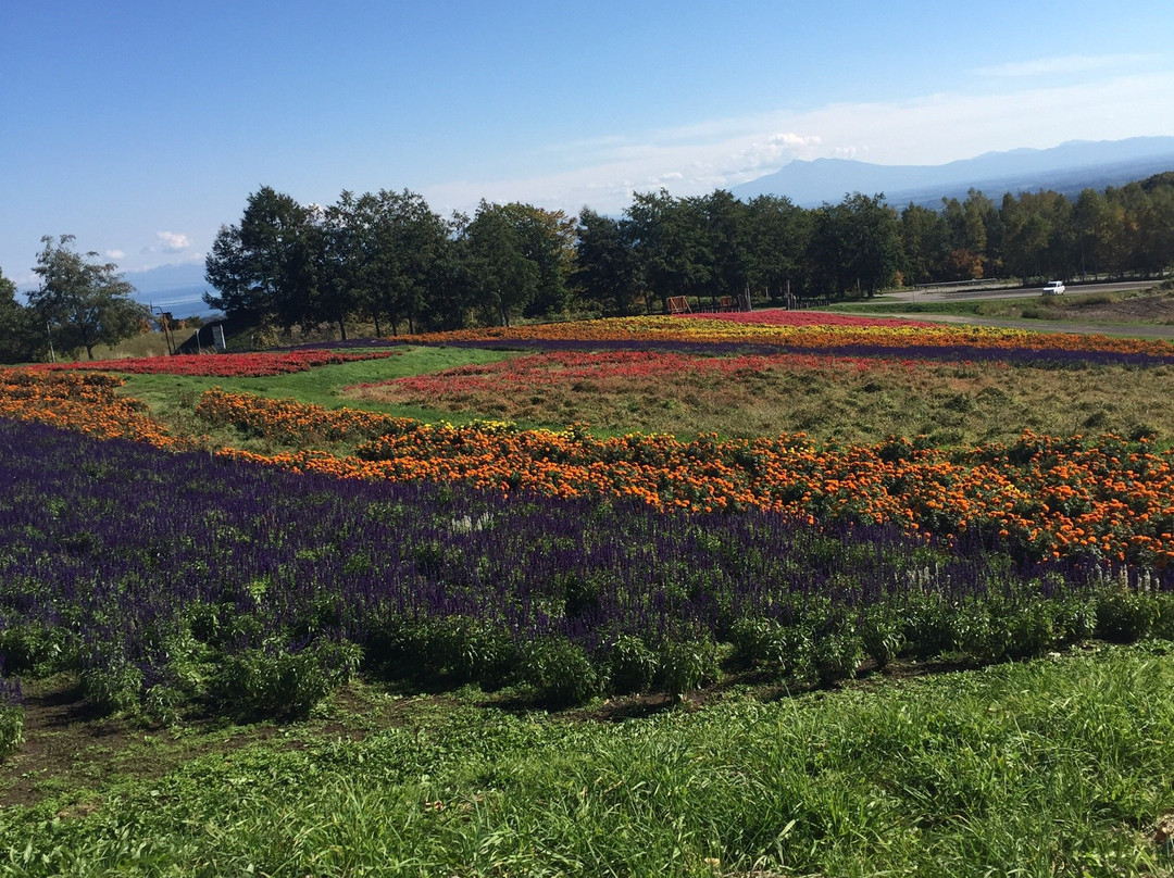 Abashiri  Lakeview Ski Resort-网走市必去景点