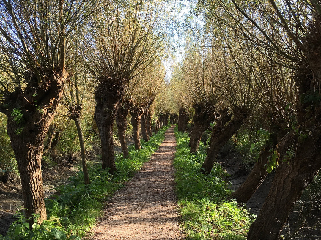 Rhoonse grienden-Rhoon必去景点