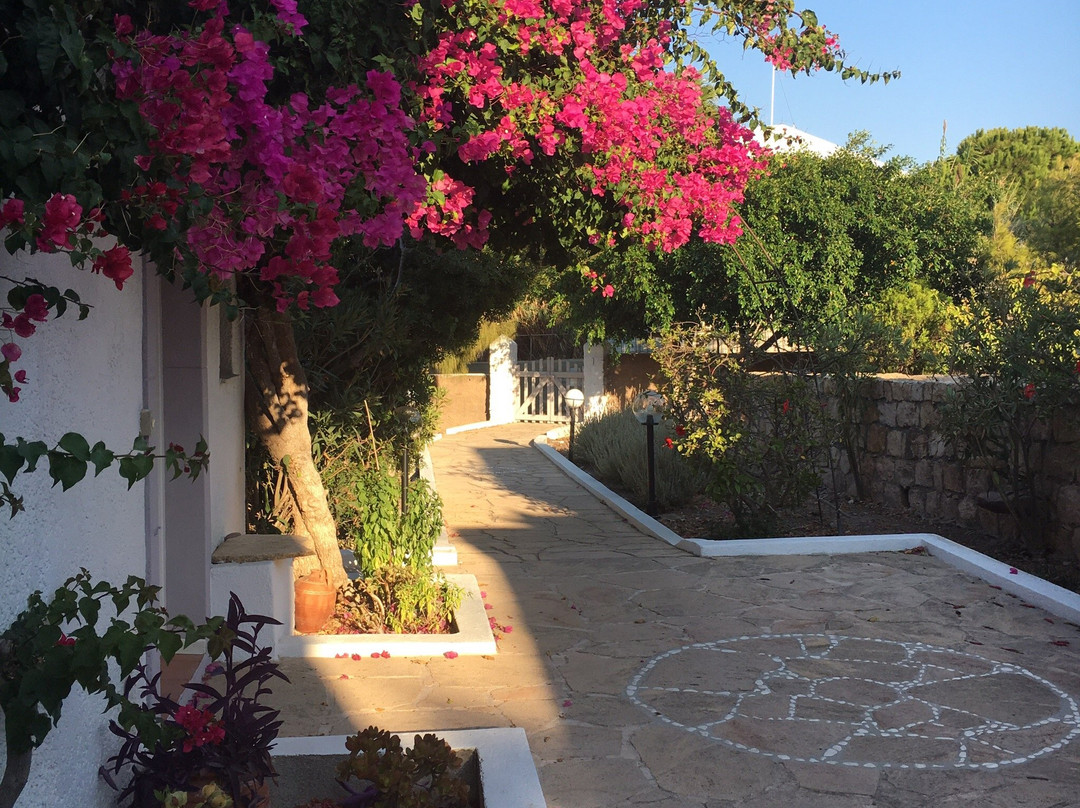 Blue Vista Patmos