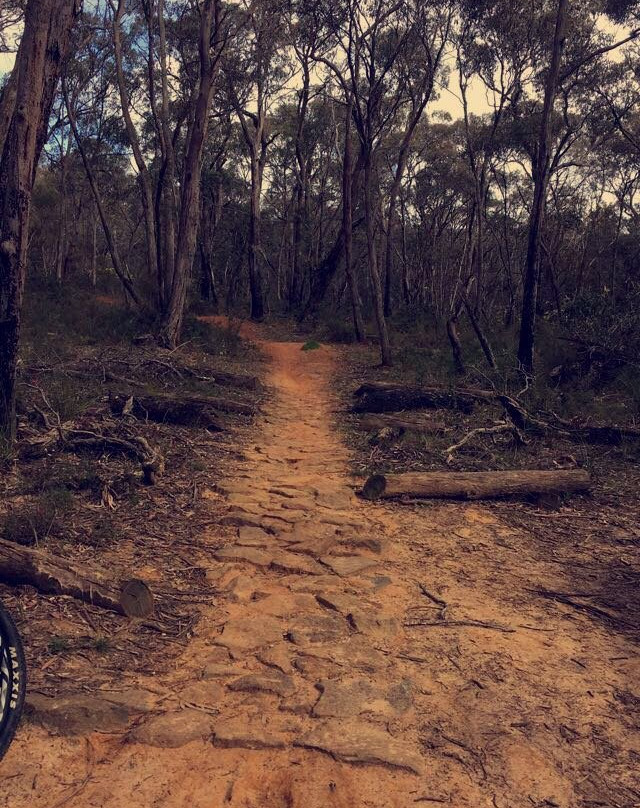 Forrest Hire Bikes-Forrest必去景点