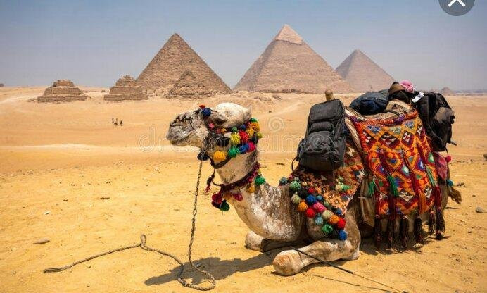 Neftis tours egipto-吉萨必去景点