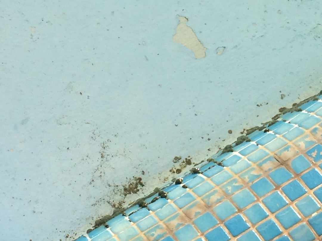 Coast Ridge Mansion主图