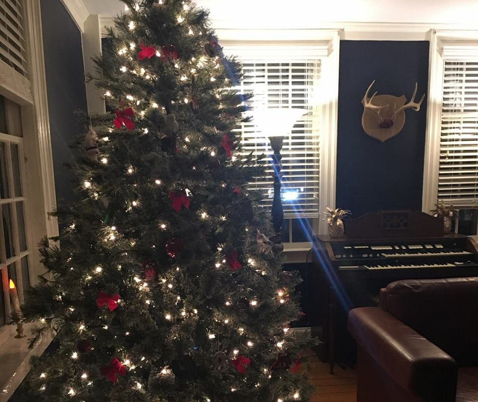 Evergreen Bed & Breakfast主图