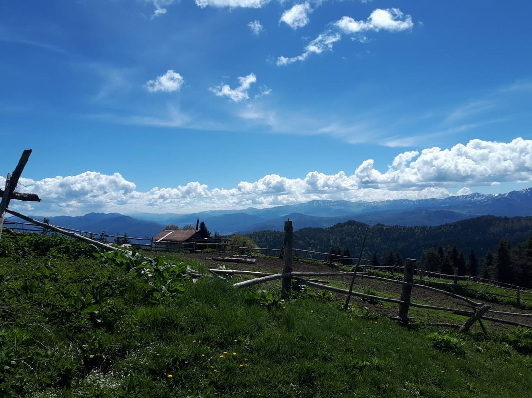 Borjomi-Kharagauli National Park景点图片