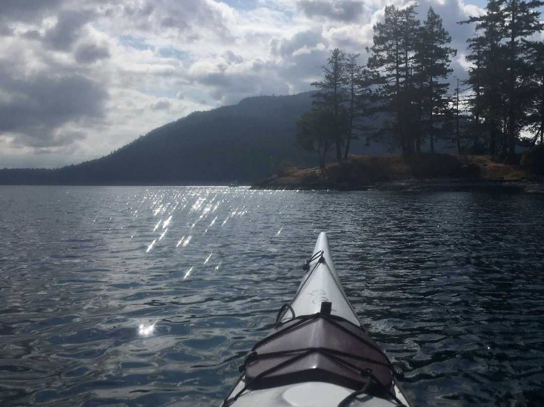 Wilderness Kayaking Co景点图片