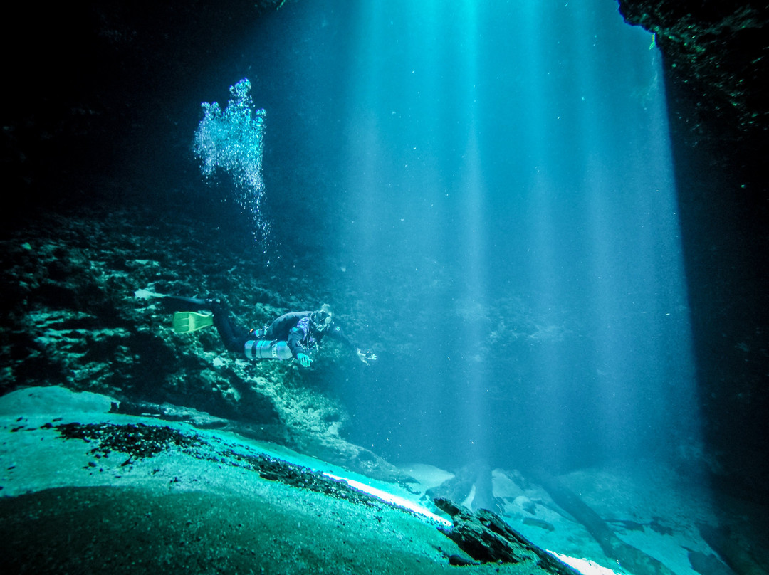 Florida Underwater Sports景点图片