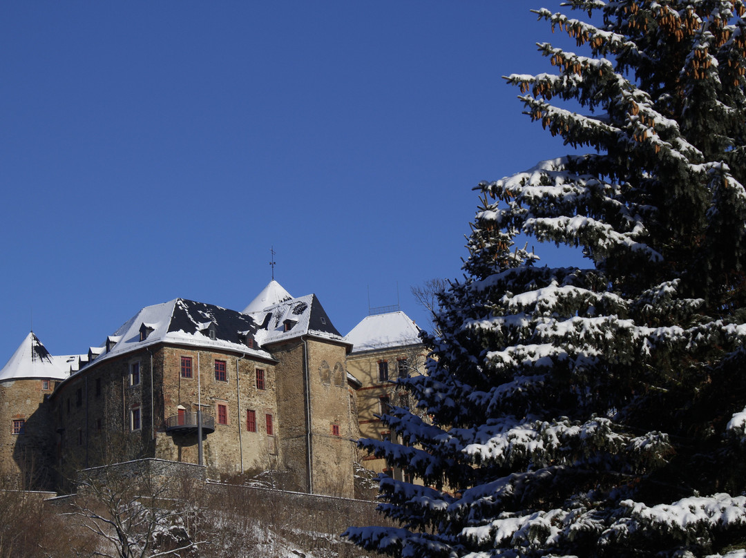 Schloss Voigtsberg景点图片