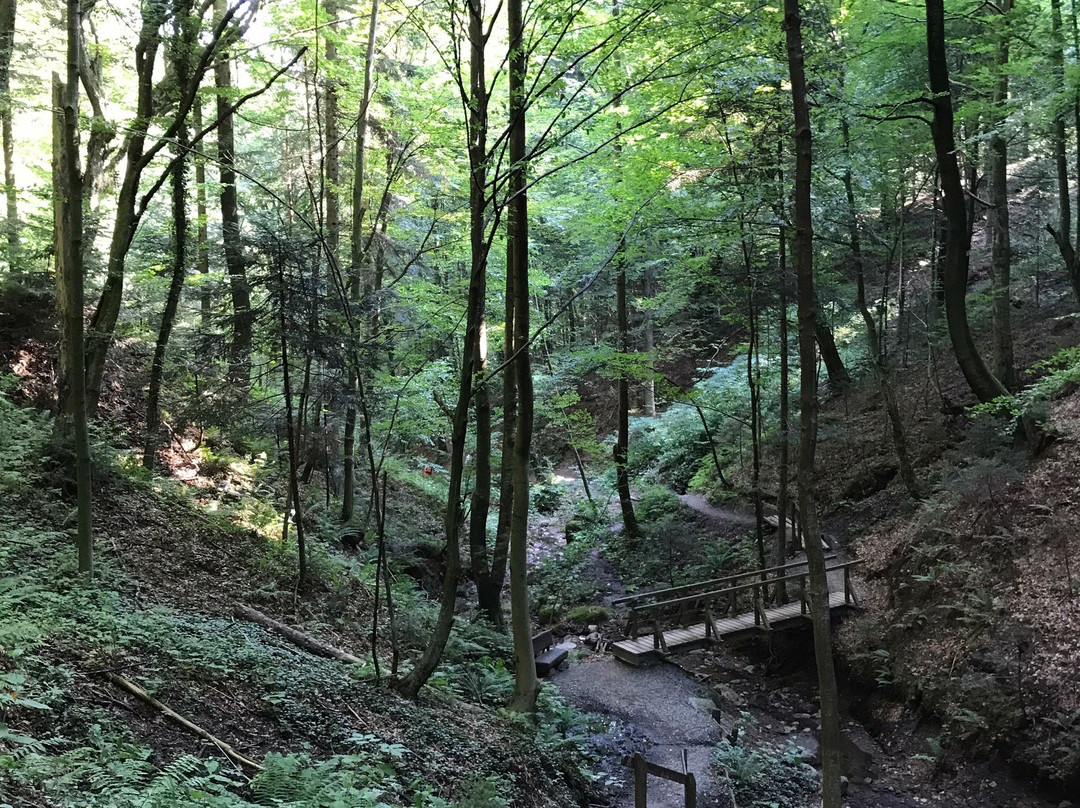 Altenbachklamm-Oberhaag必去景点