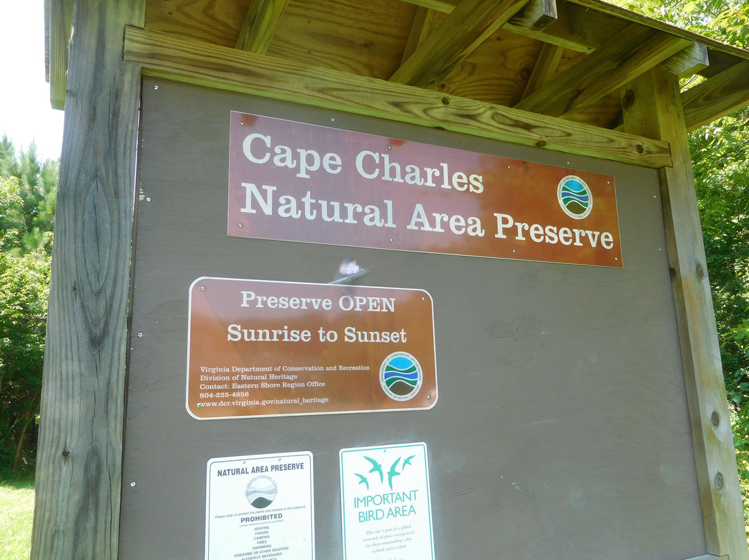 Cape Charles Natural Area Preserve景点图片