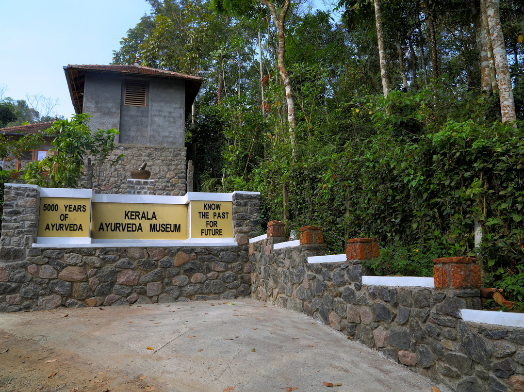 Angadipetty -Kerala Ayurveda Museum景点图片