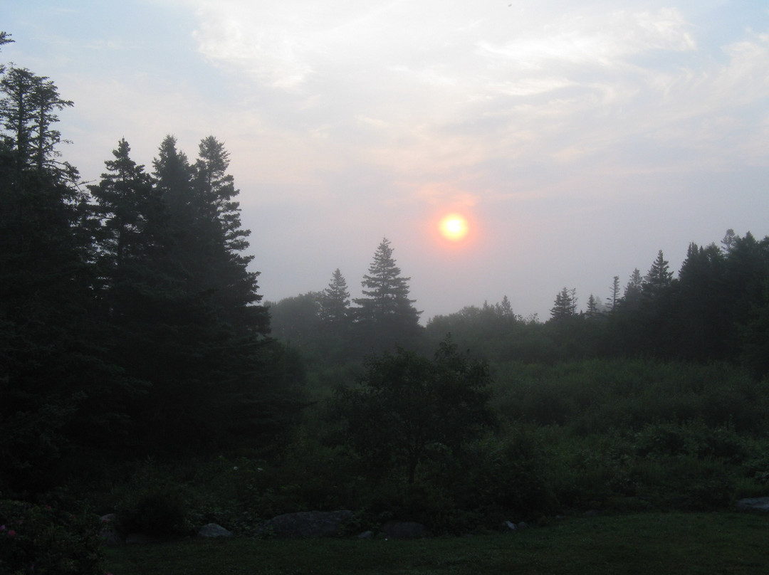 Gallery Guest House B & B主图