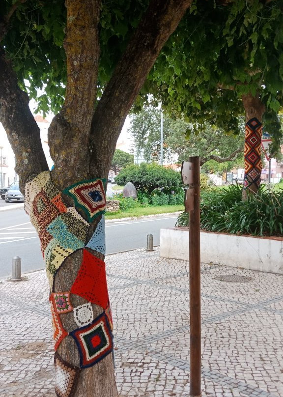 Historic Center of Cercal do Alentejo景点图片