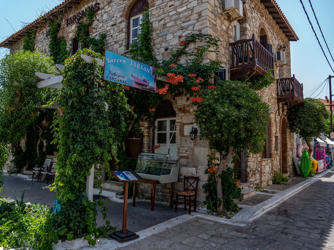 Tarsanas Hotel Tavern On The Beach主图