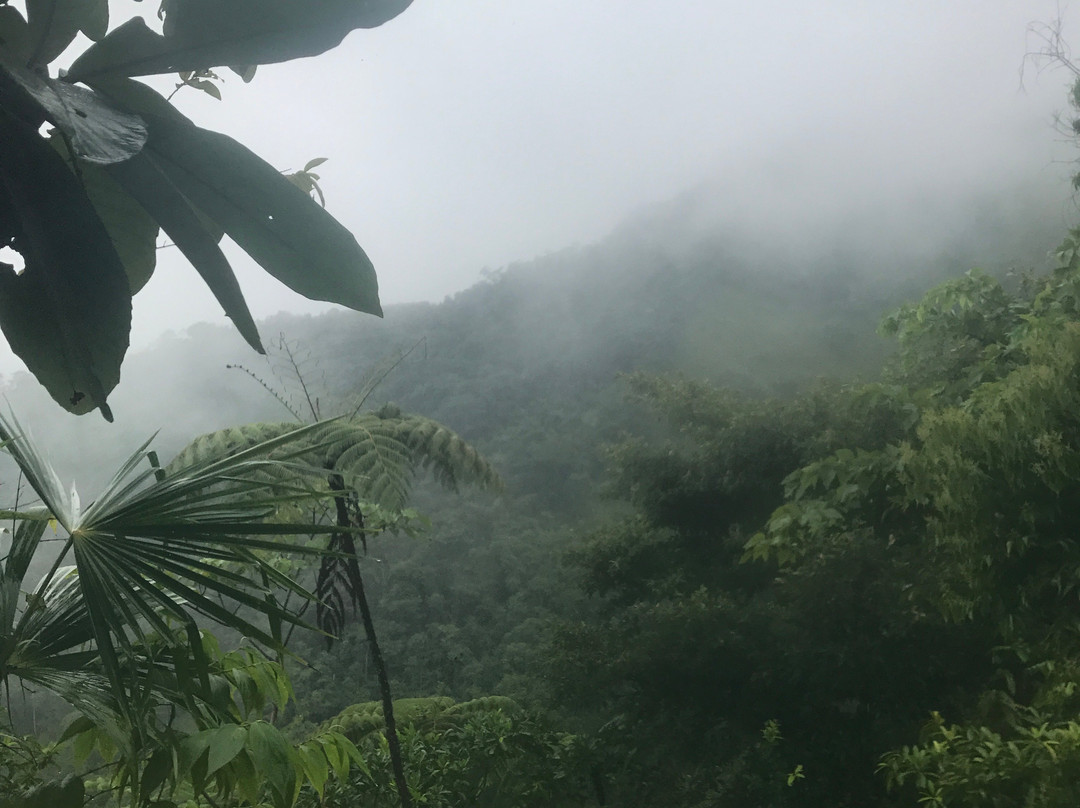 Rancho Diandrew-乌维塔必去景点