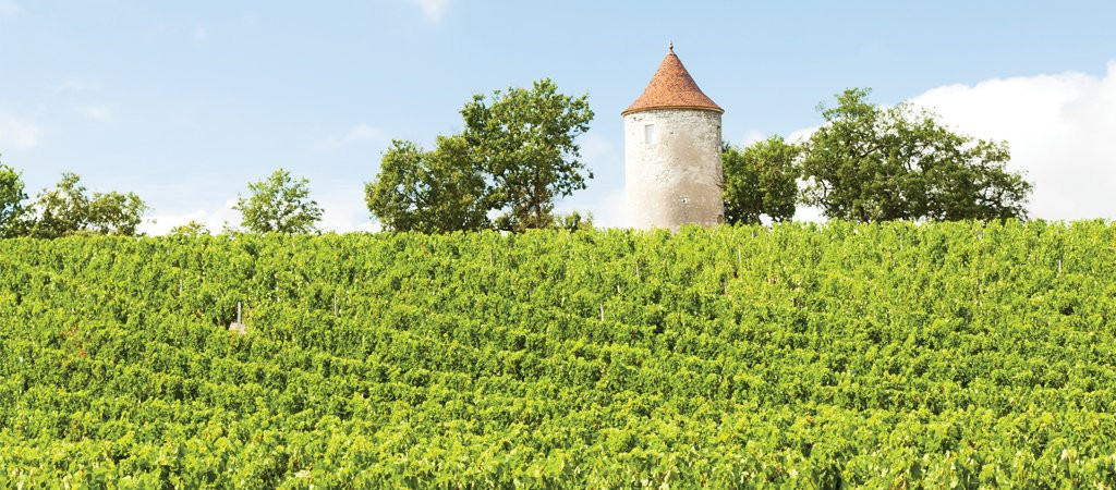 Dordogne Vineyard Tours景点图片