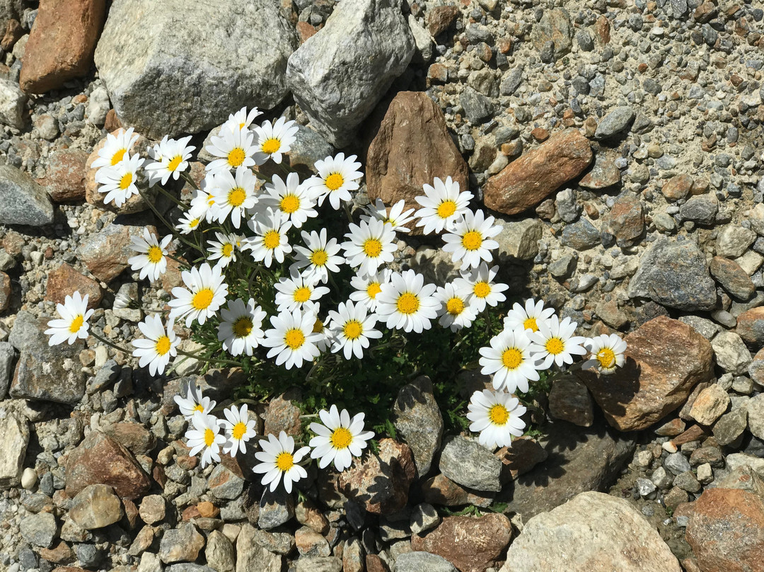 Panoramaweg Sölden Vent-索登必去景点