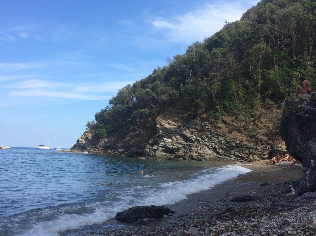 Spiaggia Luisi d'Angelo景点图片