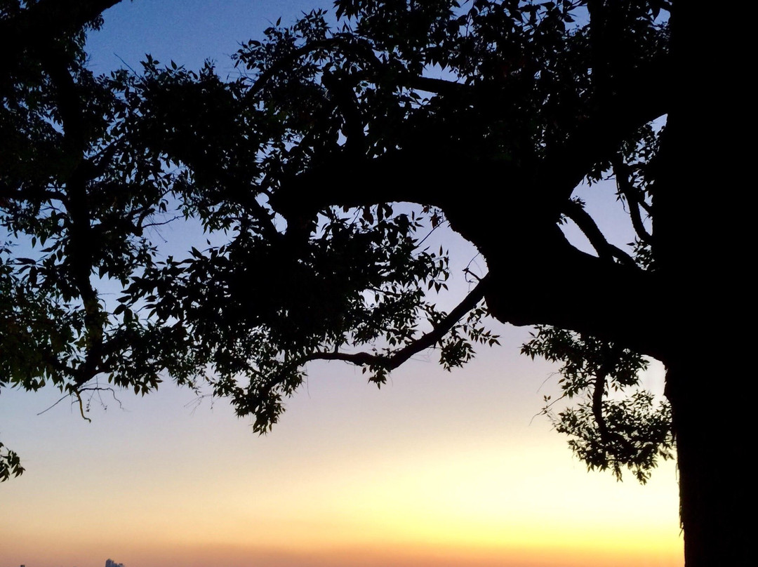 Parque Municipal Professor Amilcar Vianna Martins-贝洛哈里桑塔必去景点