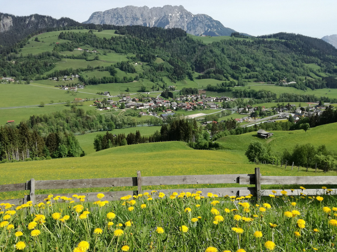 Panoramahotel Stocker主图