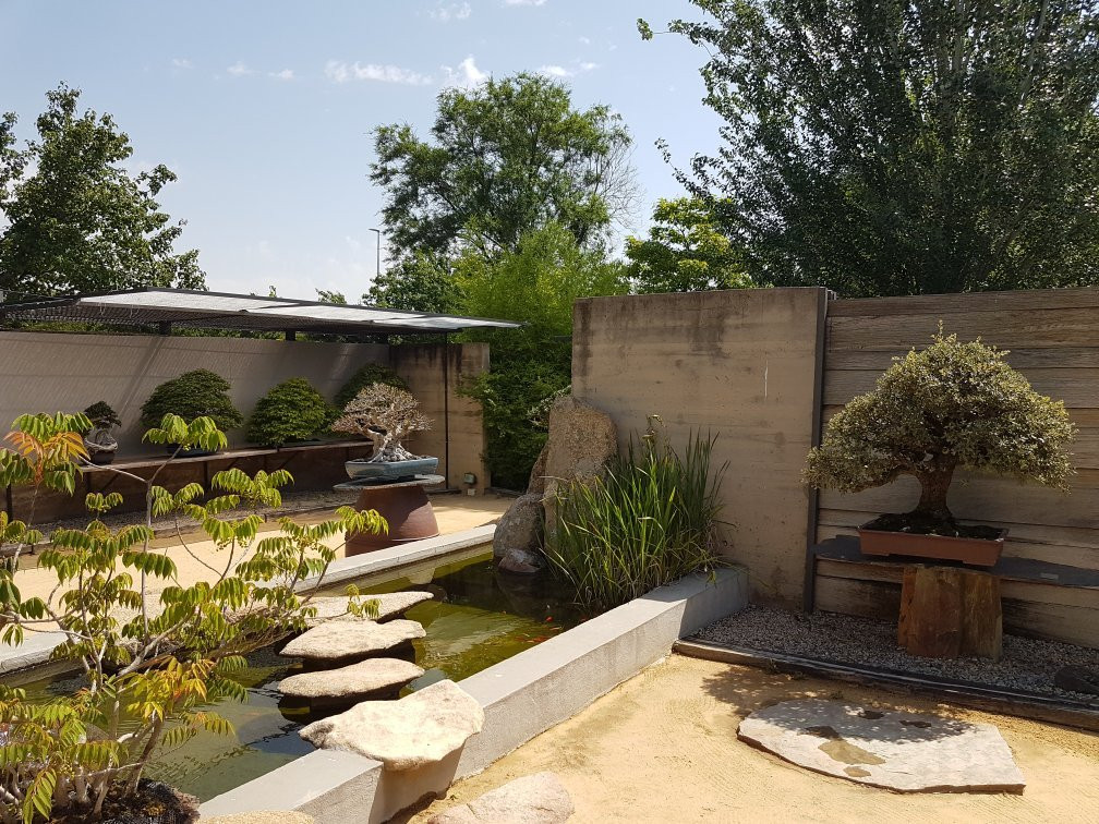 Museo Bonsai Luis Vallejo-阿尔科文达斯必去景点