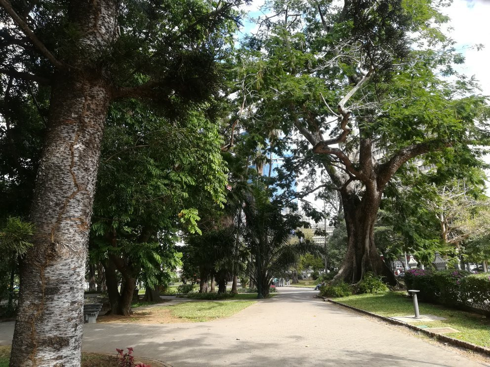 Sasekile Africa - Guided Tours & Transfers-玛洛斯帕克必去景点