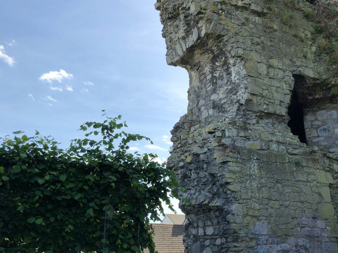 Carlow Castle-County Carlow必去景点