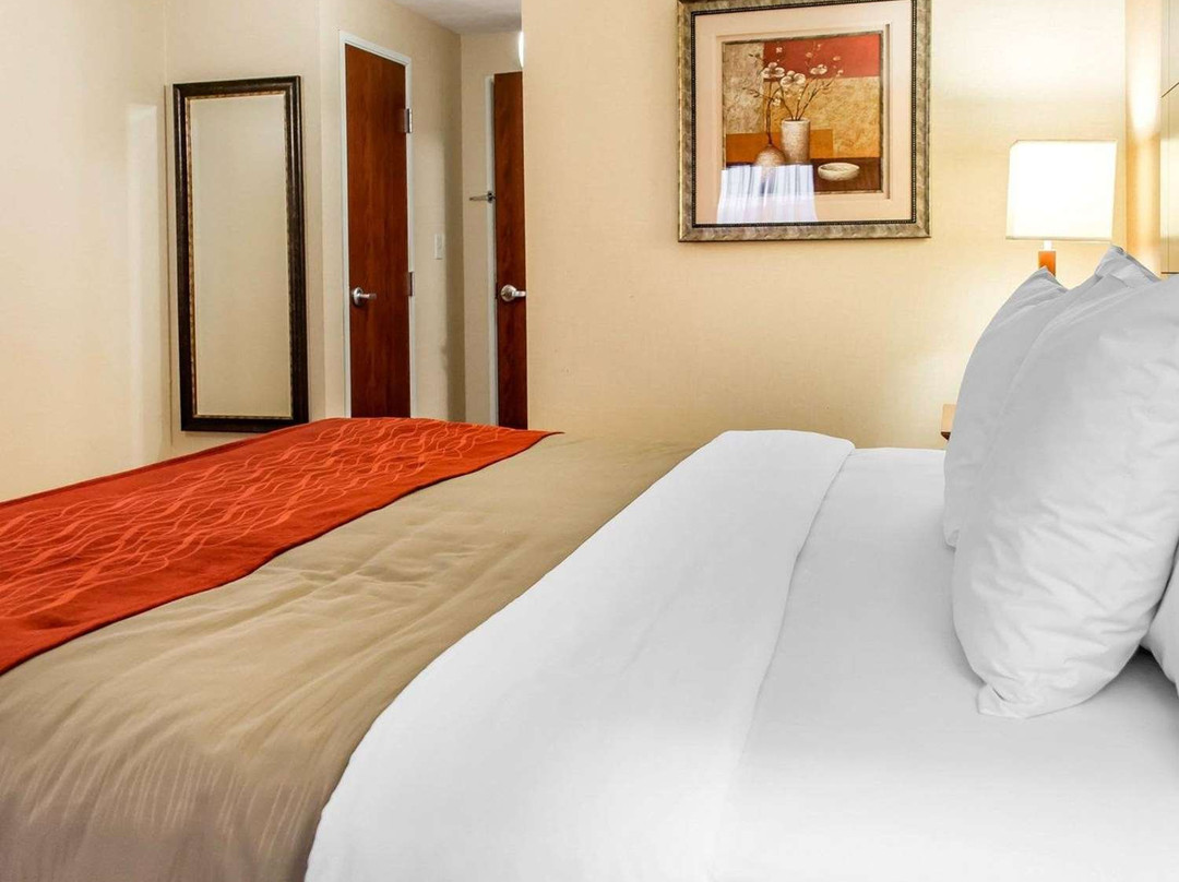 Comfort Inn & Suites Franklin主图