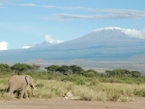 Foot On Kilimanjaro Adventure-莫西必去景点
