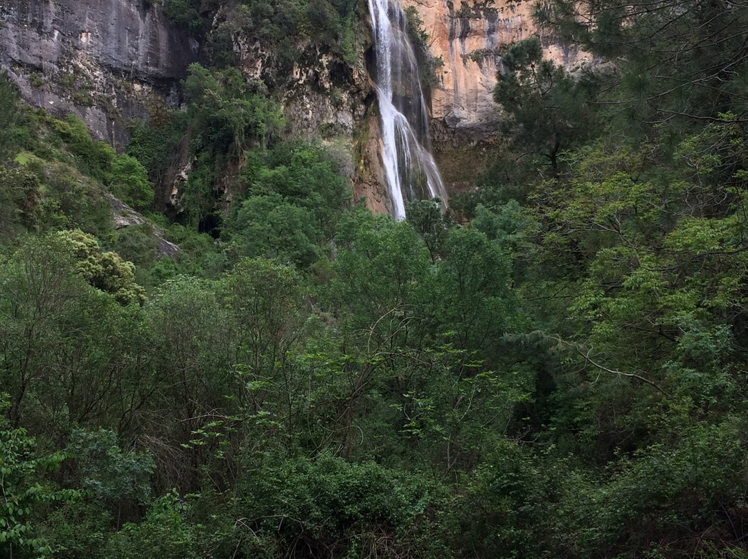 Cascadas de la Osera y Chorrogil景点图片